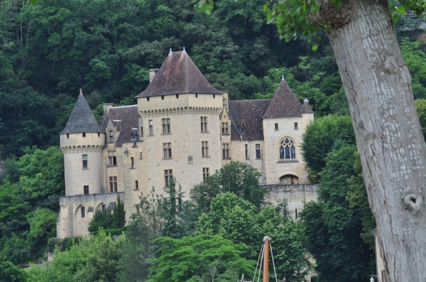 A castle-like building with multiple towers, surrounded by dense forest.