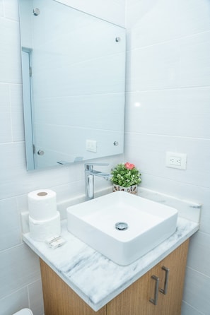 Secador de cabelo, toalhas de banho, sabonete, papel higiênico