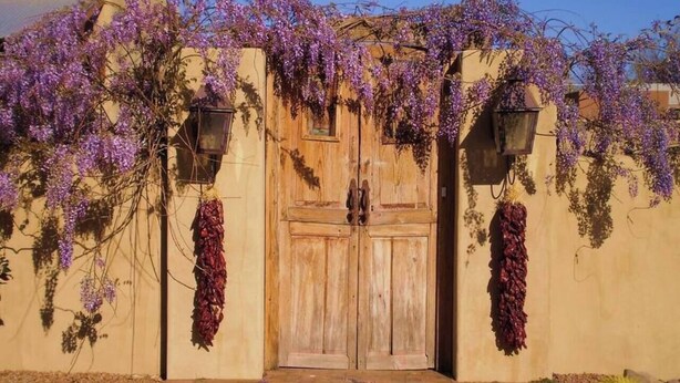A wooden double door with a wrought iron gate, surrounded by purple flowering vines and hanging dried flowers. - Desert Retreat - Relax and Enjoy (Las Cruces)