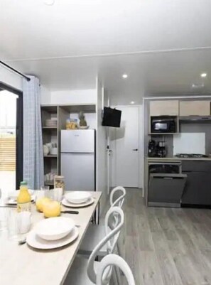 Fridge, microwave, stovetop, dishwasher - ZEcamping 4 étoiles animé piscine couverte locatif TV LV clim 40m2 (Thégra)