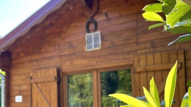 Una cabana de fusta amb una finestra gran i una porta amb un tancat metàl·lic.