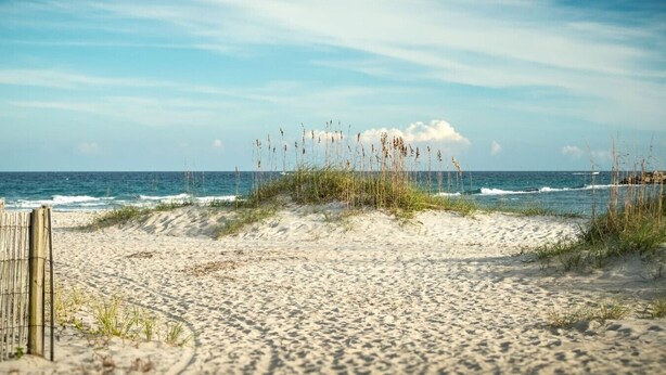 Una playa arenosa con una cerca de madera y pastos altos.