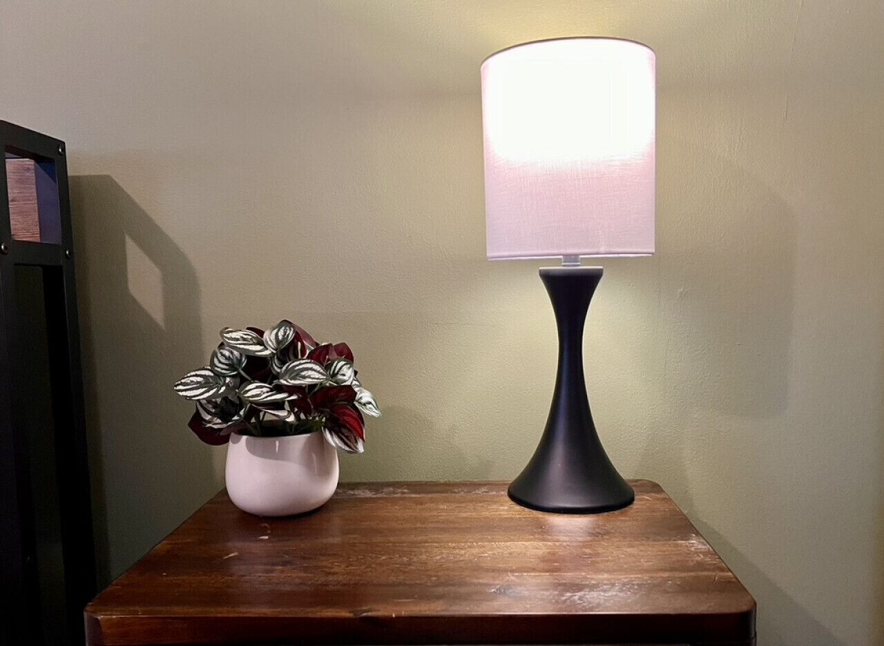 A bedside table with a potted plant and a lamp.