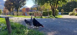 Property grounds - Chalet 3 étoiles - ccbed0d (Chézery-Forens)