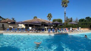 Ein Pool mit Liegestühlen und Sonnenschirmen, umgeben von Gebäuden und Palmen.