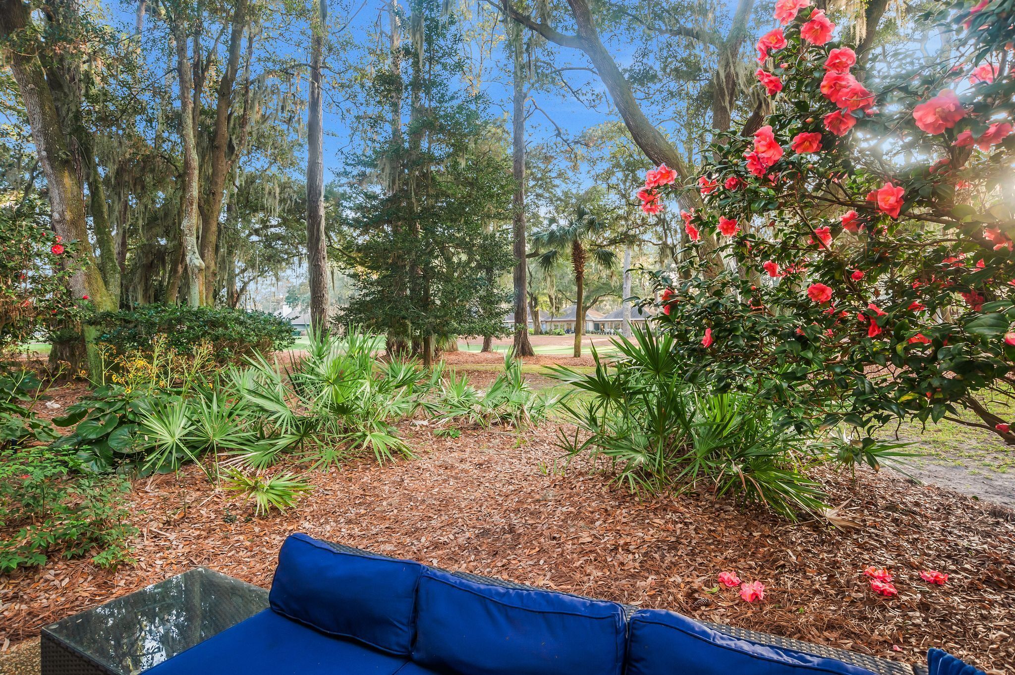 Relax on your outdoor seating surrounded by vibrant camellias and towering trees in this peaceful garden sanctuary.