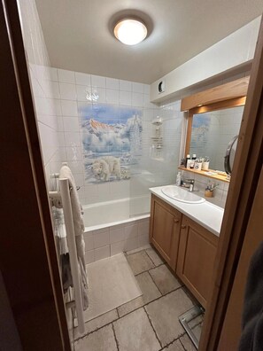 Shower, hair dryer, toilet paper