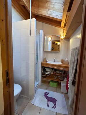 Dusche, Haartrockner, Toilettenpapier