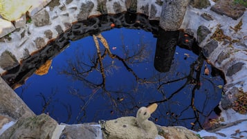 حديقة يابانية