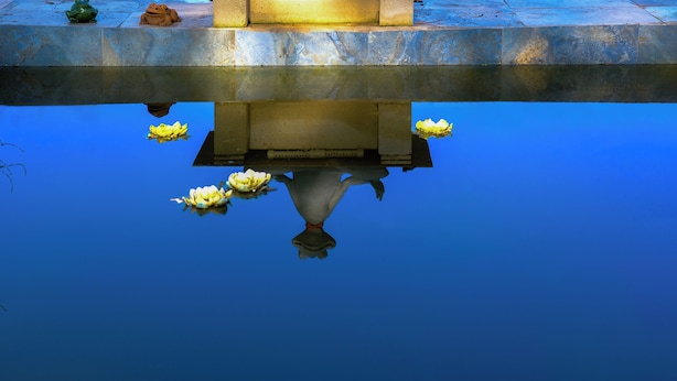 A calm water feature with a stone structure above and lotus flowers floating on the surface. - Saygın Farmhouse Ephesus Boutique Hotel (Tire)