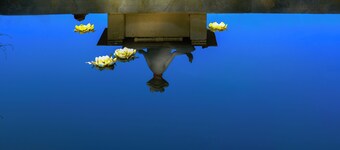 Saygın Farmhouse Ephesus Boutique Hotel