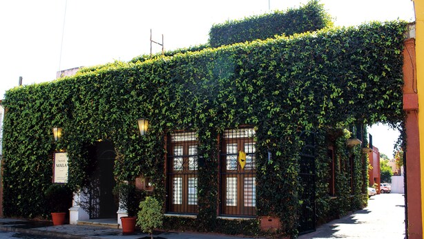 A building with a green ivy-covered exterior, a visible entrance with a sign, and a paved street in front. - HOTEL MAELA (Oaxaca)