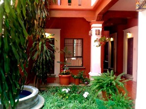 Terrace/patio - HOTEL MAELA (Oaxaca)