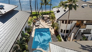A rooftop pool with a view of the ocean, surrounded by palm trees and lounge chairs. - Luxury Beachfront Villa: Steps to Baby Beach | Pu'unoa Beach Estates 105 (Lahaina)