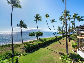 Property grounds - Beachfront Gem, 2bd Villa, Directly on Lahaina's Favorite Beach (Lahaina)
