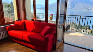 TV, fireplace, table tennis