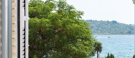 A view of a lake with a boat, surrounded by lush greenery and a hill in the background.