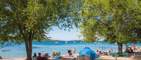 公寓 (One Bedroom apartment with Sea View () | 外觀