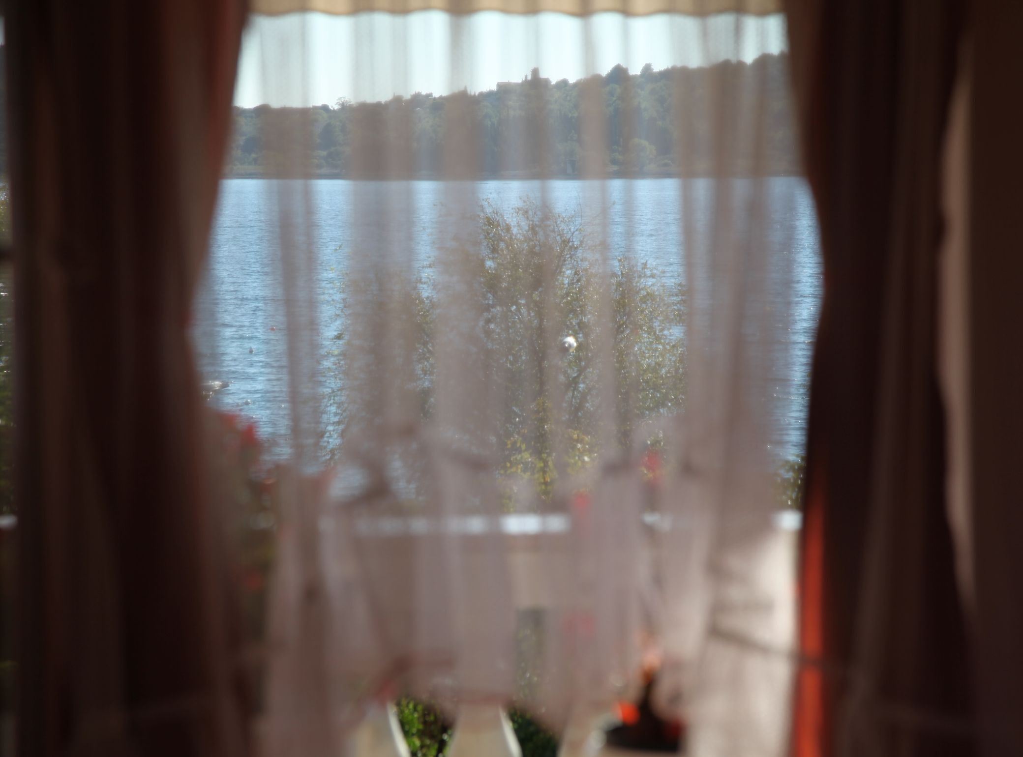 A view through a window with sheer curtains, displaying a body of water and trees in the background.