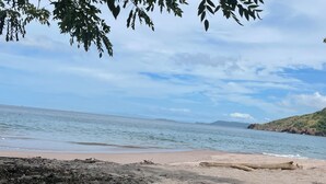 Una playa con arena, hojas dispersas y mar tranquilo.