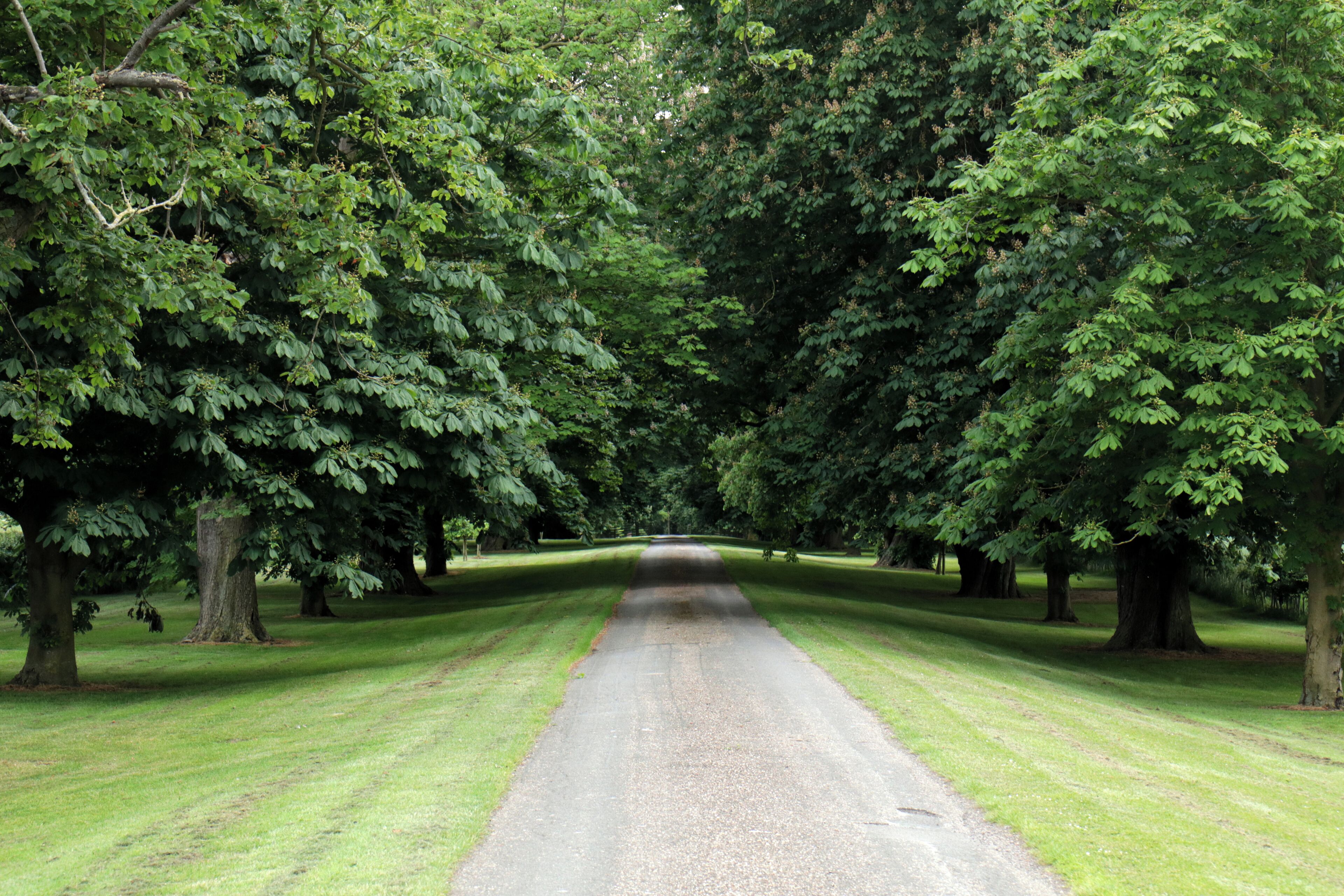 Twin Room, Courtyard View | Free WiFi