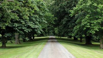 Twin Room, Courtyard View | Free WiFi