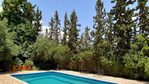 A rectangular swimming pool with checkered tiles and a blue border, surrounded by a tiled deck and dense trees. - Villa des roses privée (Marrakech)