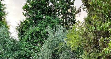 Villa des roses privée