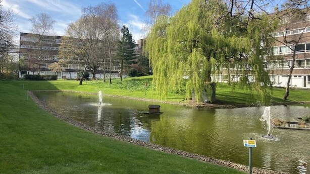 A serene park with a pond, fountains, and a weeping willow tree. - Colorful 1 bedroom Flat in South East London area (Bromley)