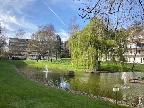 Colorful 1 bedroom Flat in South East London area