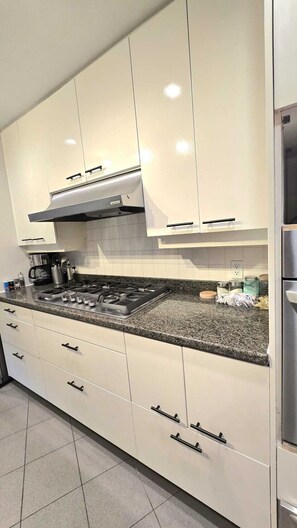 Private kitchen - Master bedroom with en-suite bathroom, and a shared kitchen and living room (North Vancouver)