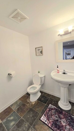 Shower - Master bedroom with en-suite bathroom, and a shared kitchen and living room (North Vancouver)