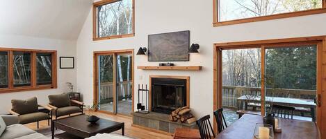 Télévision, cheminée, espaces bureaux