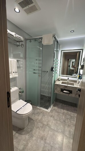 Et moderne badeværelse med et glasbadeværelsesafskærmning, et toilet med hvid låg og et vaskeskab med spejl.