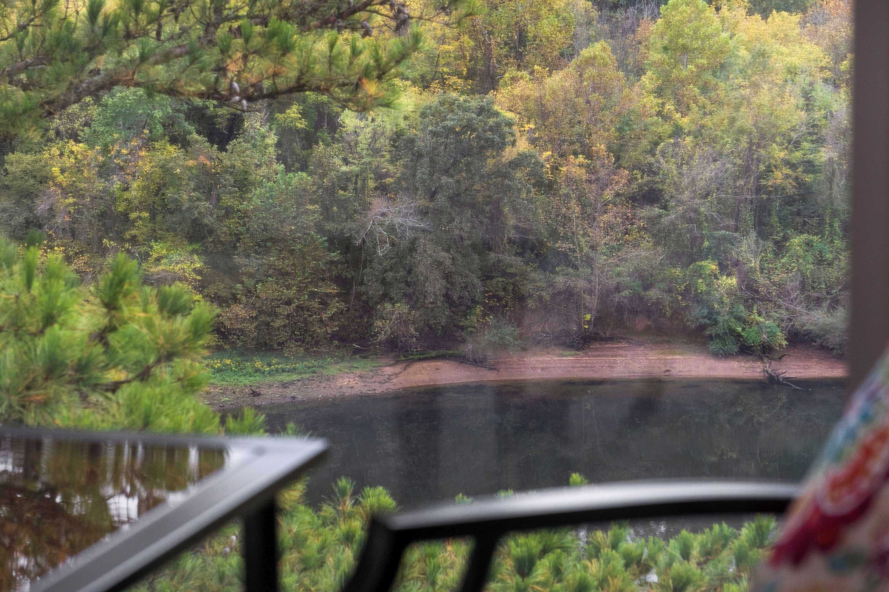 Vista de una zona boscosa con una masa de agua, probablemente un lago o río, y un sendero de tierra.