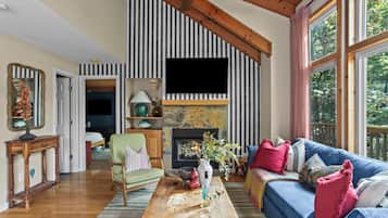 Smart TV, fireplace, books