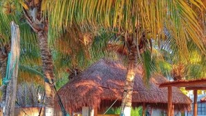 Khuôn viên nơi lưu trú