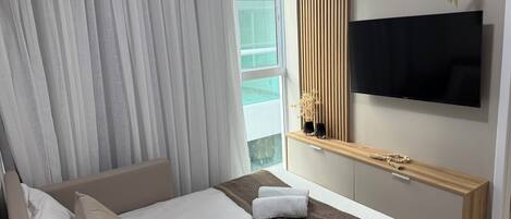 Basic Apartment | Television