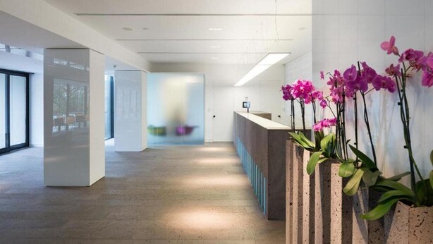 A modern reception area with a reception desk, a large window, and a plant with purple flowers. - Hotel Privo (Târgu Mureș)