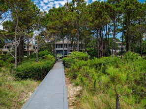 Property grounds - MyStay at 35 Ruddy Turnstone - 5BR Oceanfront Luxury Living! (Hilton Head Island)