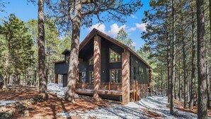 Unclassified image, 4 of 88, button - Mogollon Rim Cabin | Hot Tub | Fire Pit (Forest Lakes)