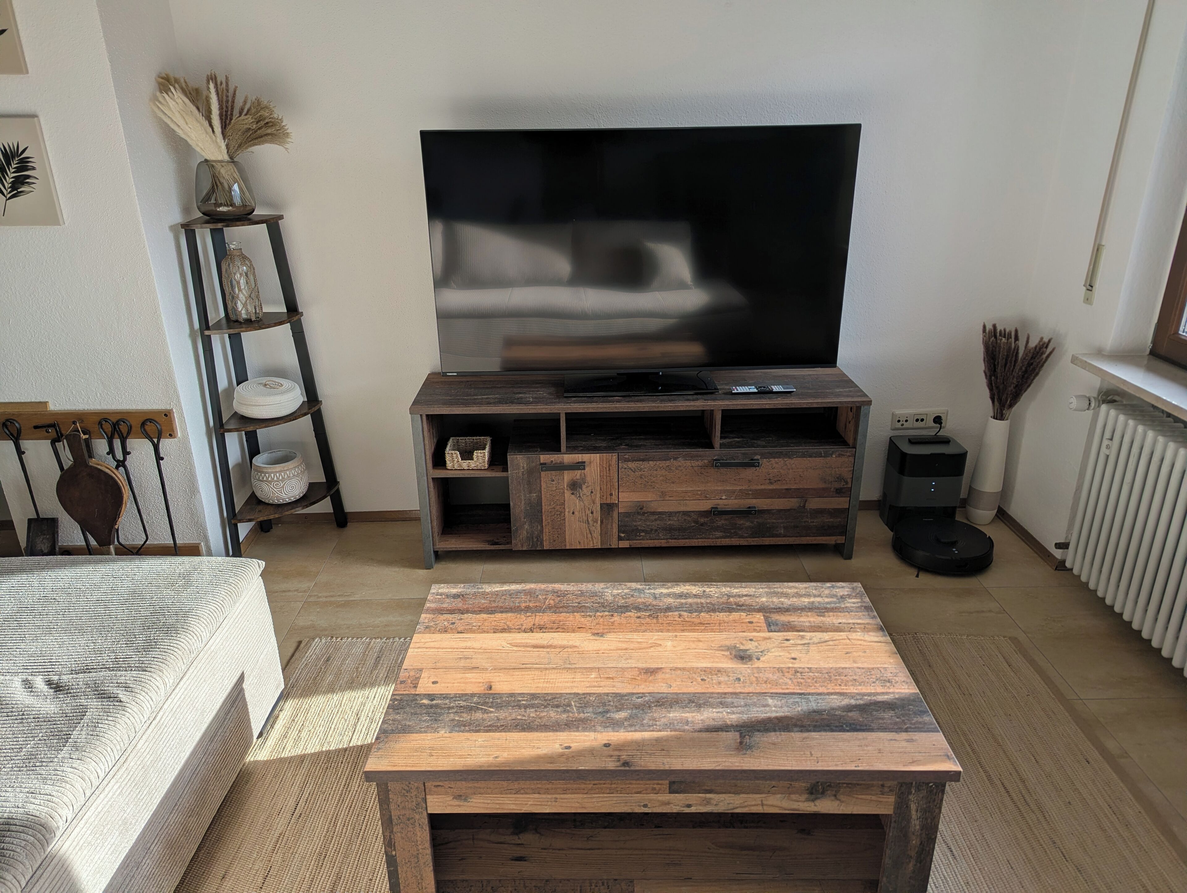 Smart TV, fireplace, books