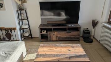 Smart TV, fireplace, books