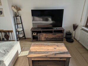 Smart TV, fireplace, books