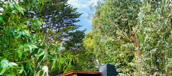 Casa Bosque al Mar. Peralta Ramos Forest Mar del Plata