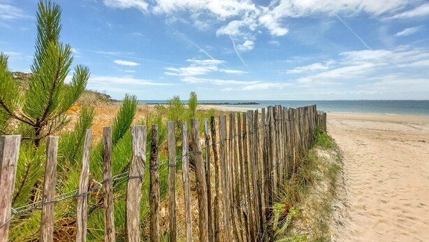 Une plage avec une clôture en bois et des pins au premier plan.