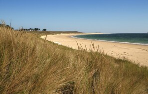 Fishing - 1 bedroom amazing apartment in Carnac (Carnac)