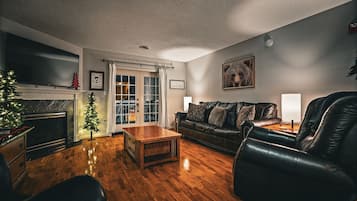 智能电视、壁炉、DVD 播放器