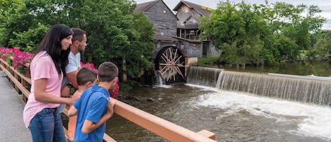 Jardines del alojamiento