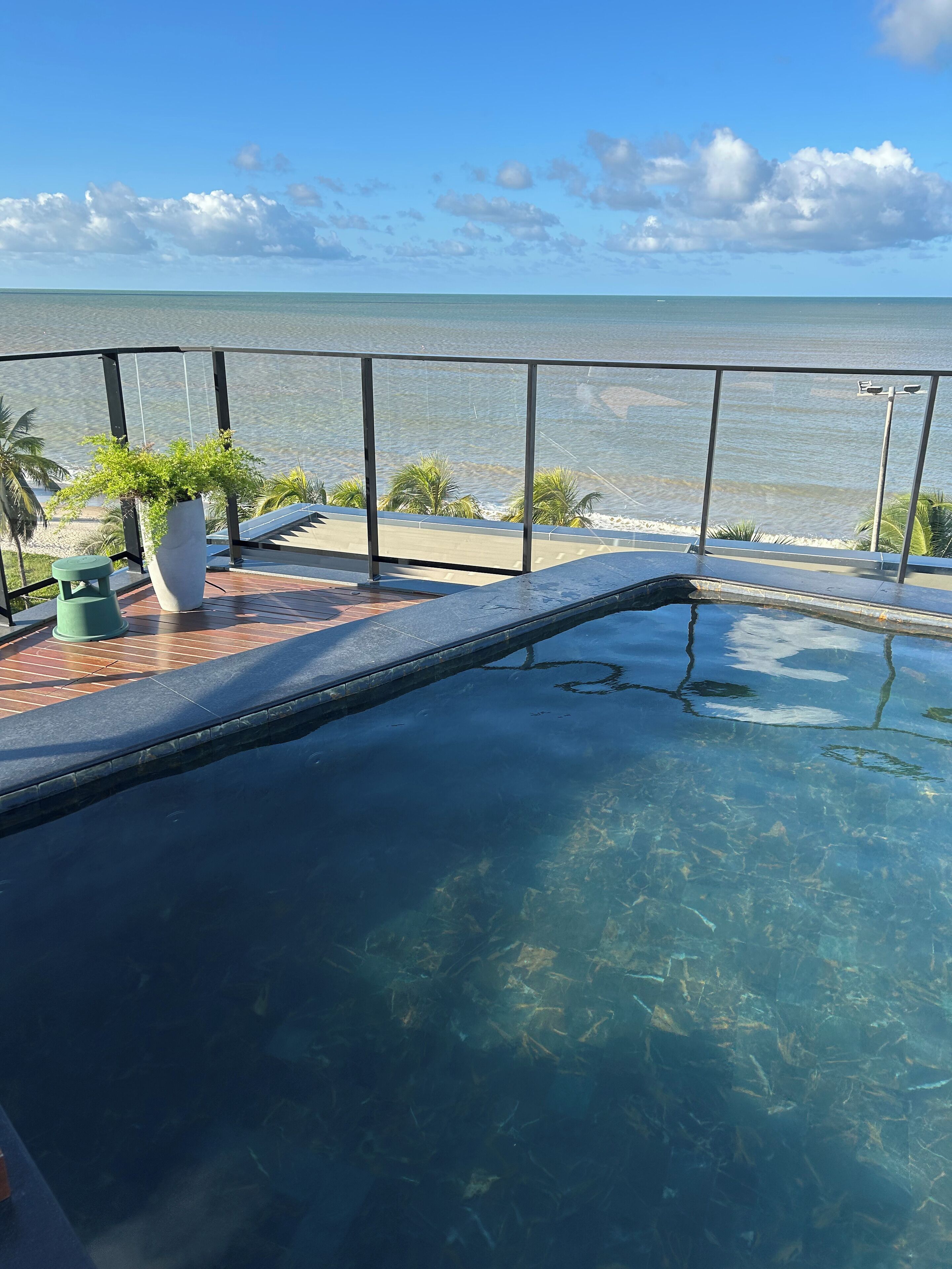 On peut clairement voir une piscine, séparée du reste par une paroi en verre, avec une plante en pot et une vue sur l’océan.